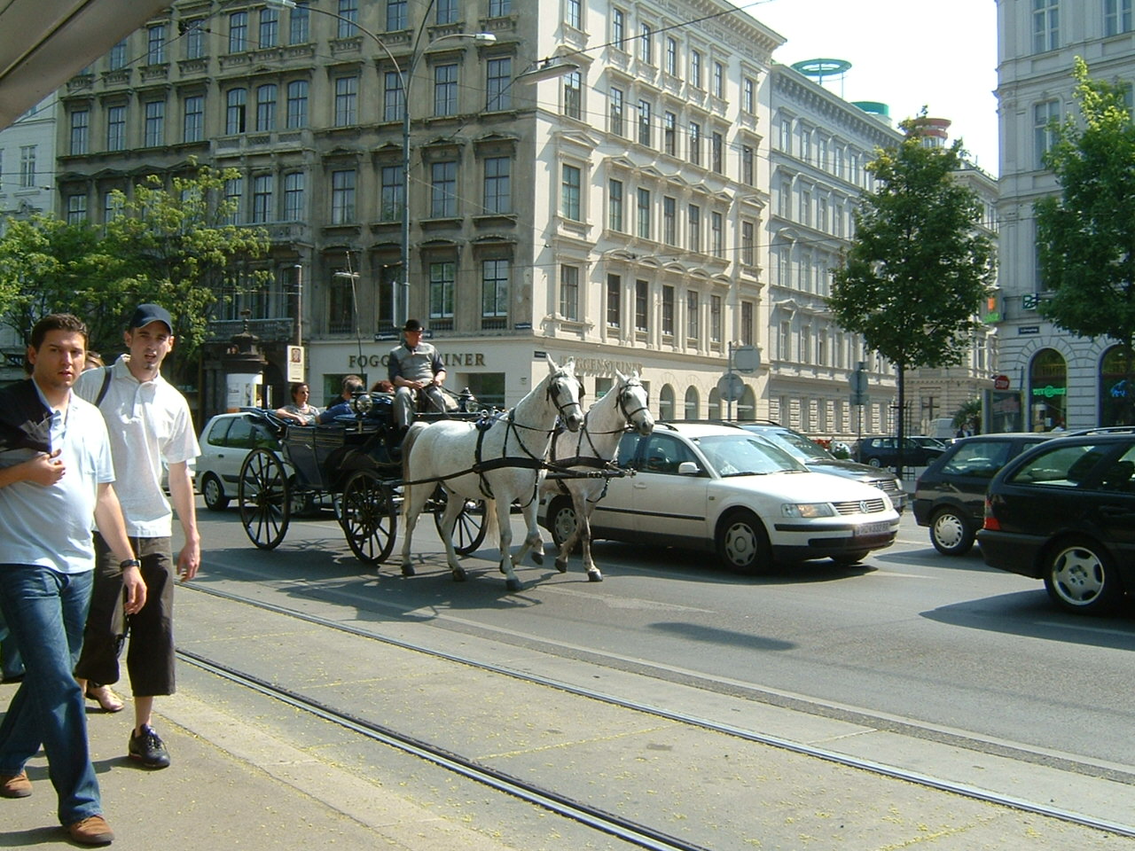 ウィーンの観光馬車