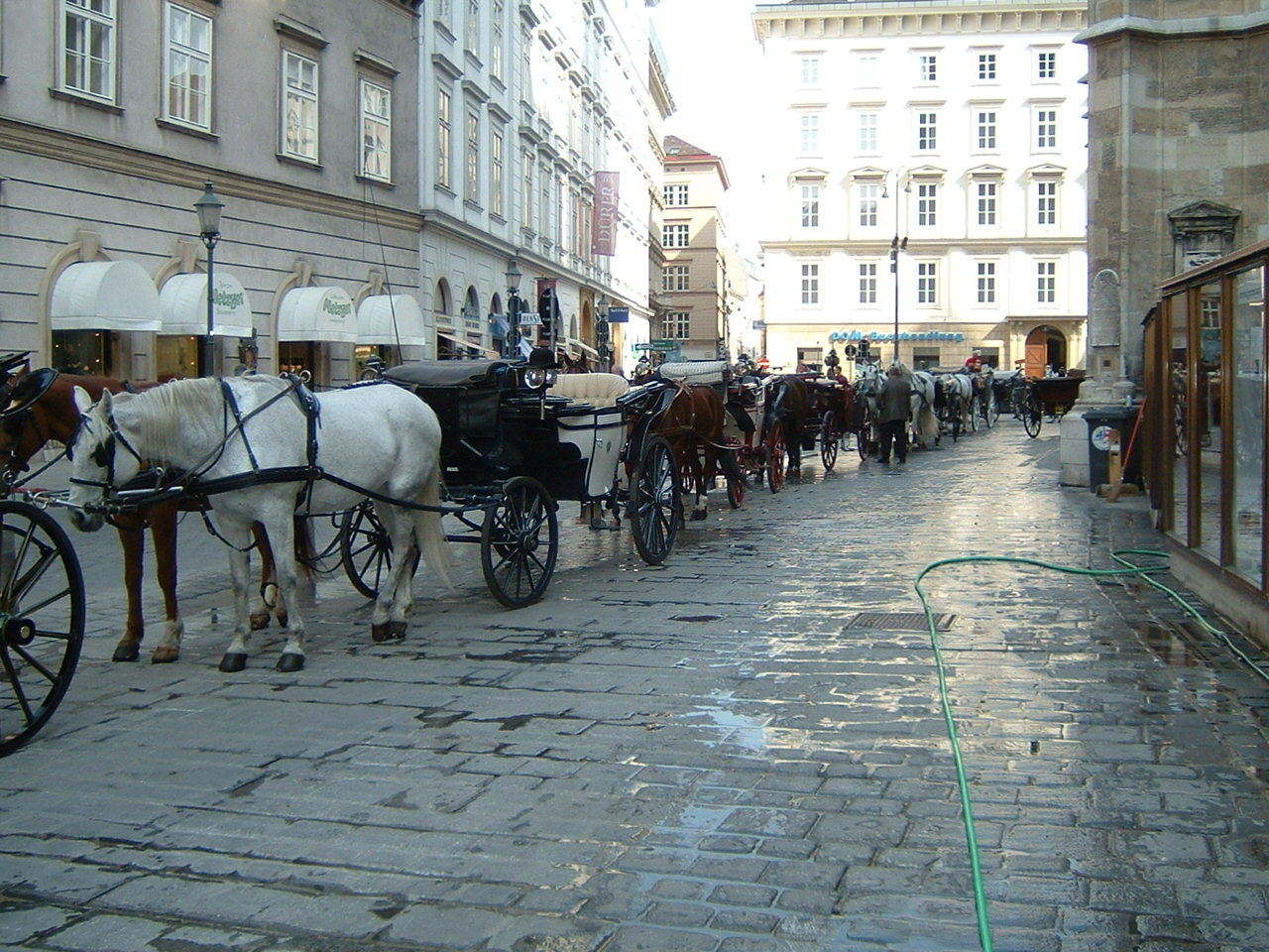 観光馬車の列